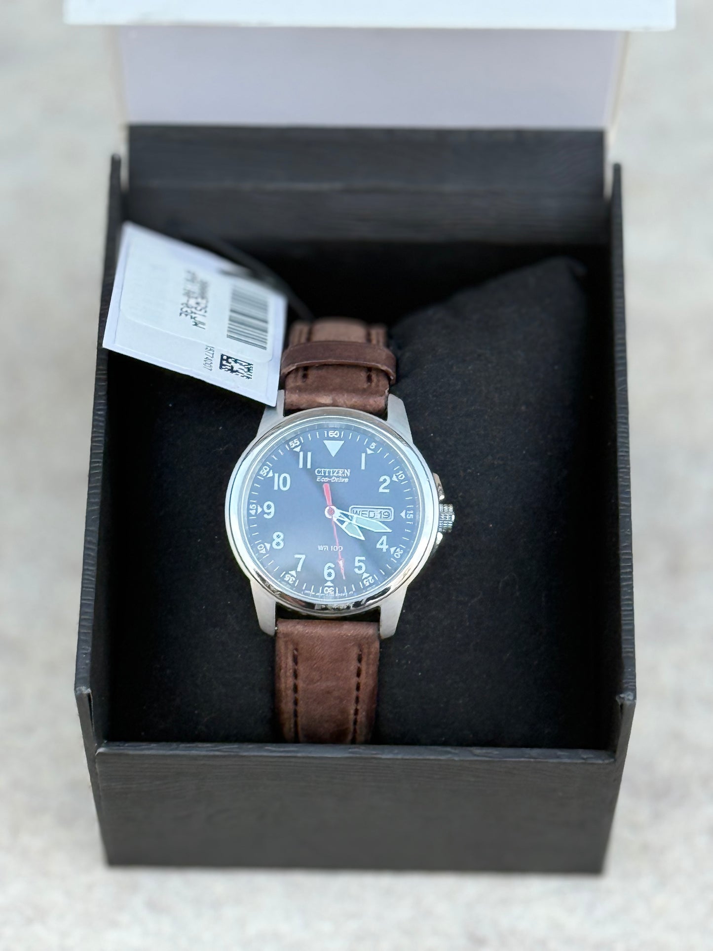 Citizen Eco-Drive Field Watch (2013)